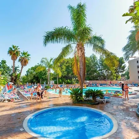 Festival Village- Sea Views شقة